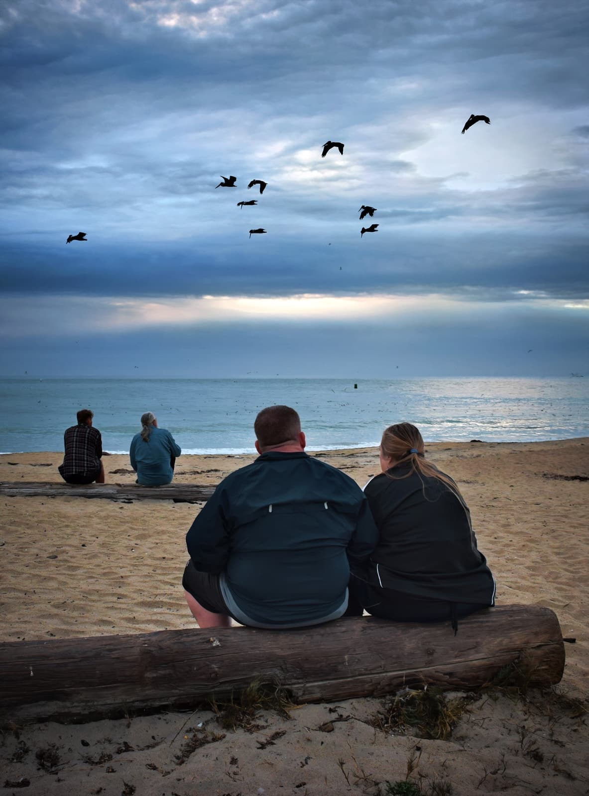 Moss Landing State Beach