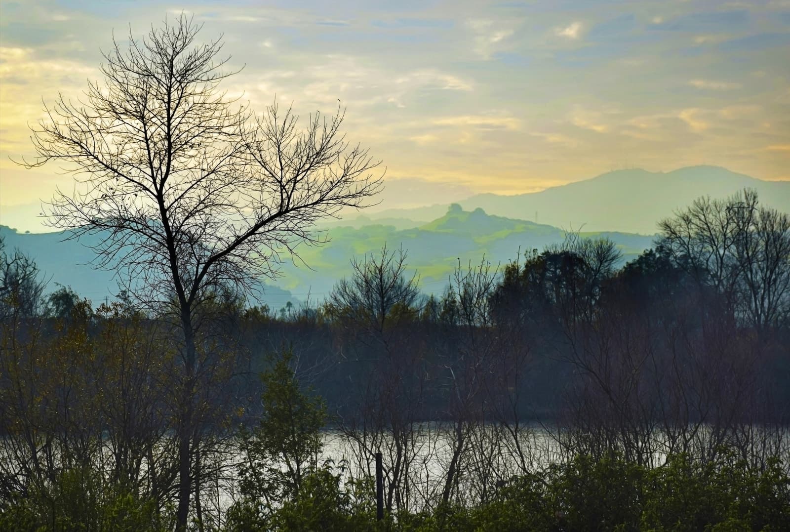 Santa Cruz Mountains from Coyote Creek Trail