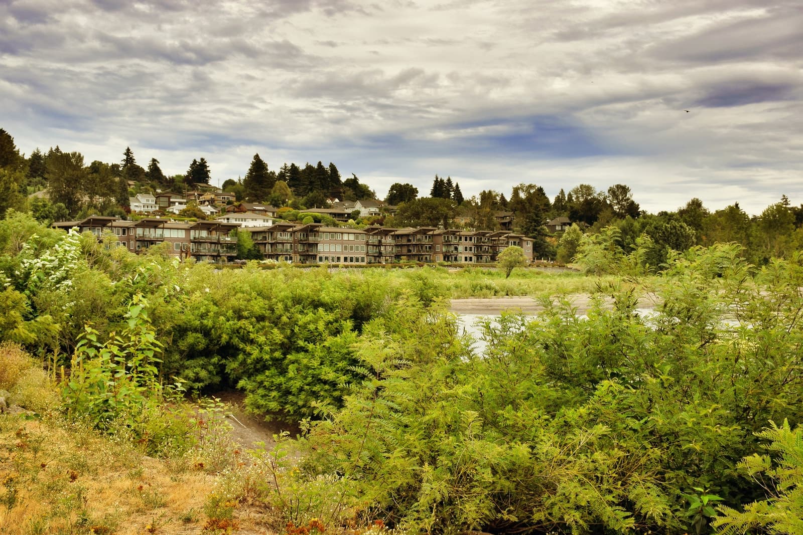 Tidewater Cove